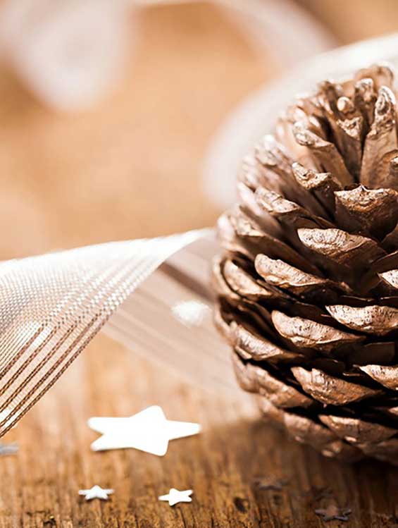 Tannenzapfen mit Schleifenband und Sternen als weihnachtliche Dekoration.