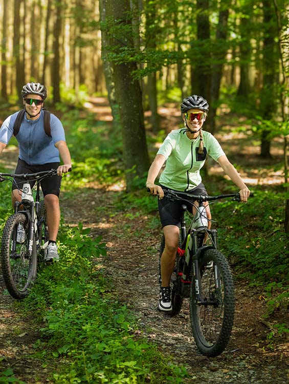 2 Fahrradfahrer im Wald